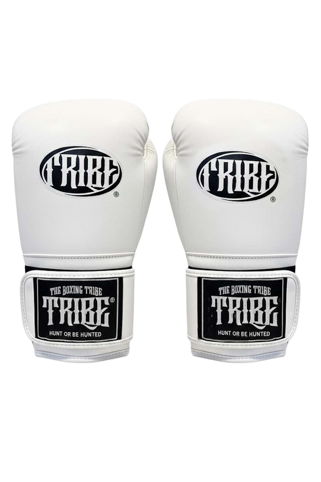 TRAPEX EV SPARRING GLOVE - THE BOXING TRIBE