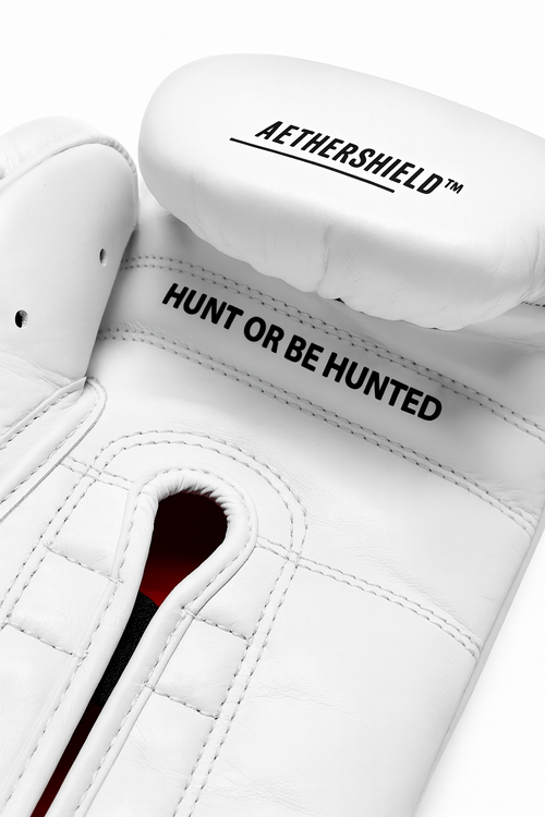 TRAPEX EV SPARRING GLOVE - THE BOXING TRIBE